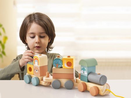 Wooden Toy Train Set with Stacking Wooden Blocks and Cute Animal Patterns Online now