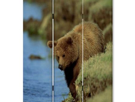 48  X 72  Multi Color Wood Canvas Bear  Screen Hot on Sale