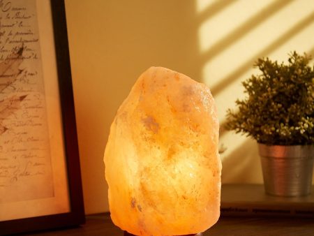 Diesel Salt Lamp For Cheap