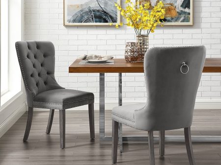 Brielle Dining Chair (Set of 2) Hot on Sale