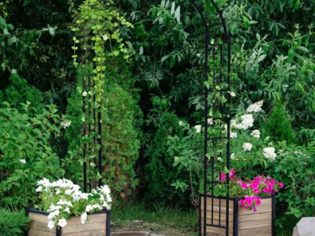 7.5 Feet Metal Garden Arch for Climbing Plants and Outdoor Garden Decor-Black Online