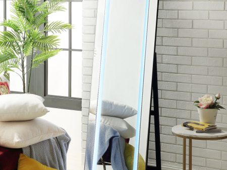 Fenna Full Length Floor Mirror Cheap