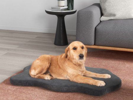 Orthopedic Dog Bed with Memory Foam Support for Large Dogs-Gray Discount