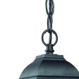 Matte Black Beveled Glass Outdoor Hanging Light For Discount