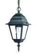 Matte Black Beveled Glass Outdoor Hanging Light For Discount